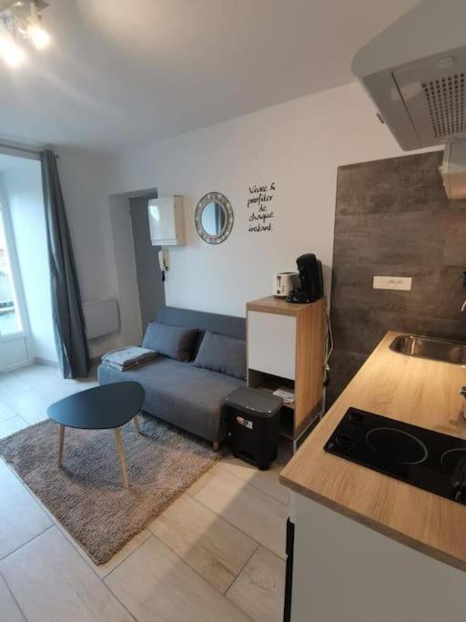 Charmant Appartement Au Calme Saint-Georges-de-Luzençon Εξωτερικό φωτογραφία