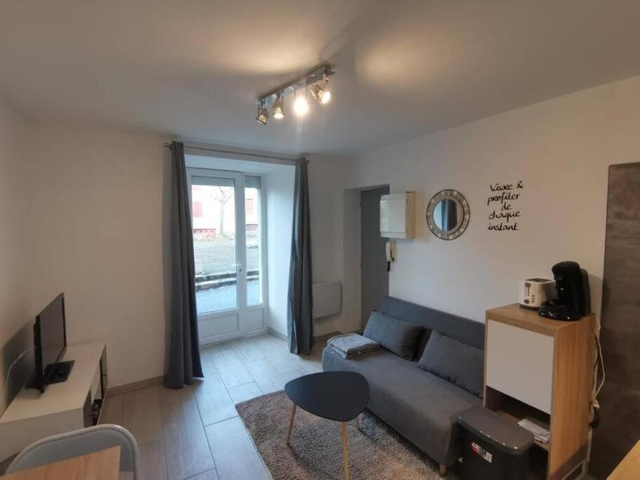 Charmant Appartement Au Calme Saint-Georges-de-Luzençon Εξωτερικό φωτογραφία